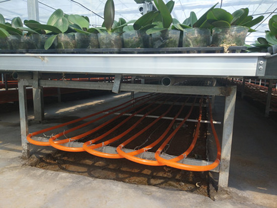 農(nóng)業(yè)種植、養(yǎng)殖地源熱泵供暖系統(tǒng)