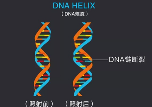 公共場(chǎng)所的空氣殺菌必不可少