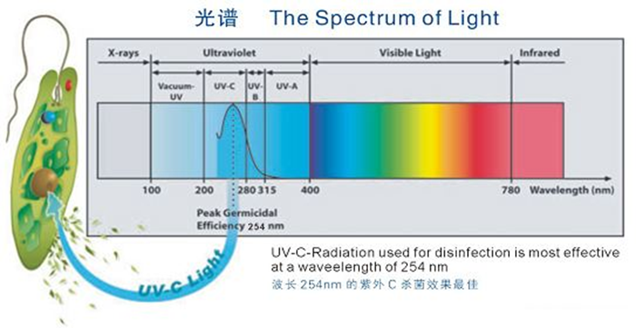 科普！紫外線殺菌燈對(duì)人體影響及正確使用方法